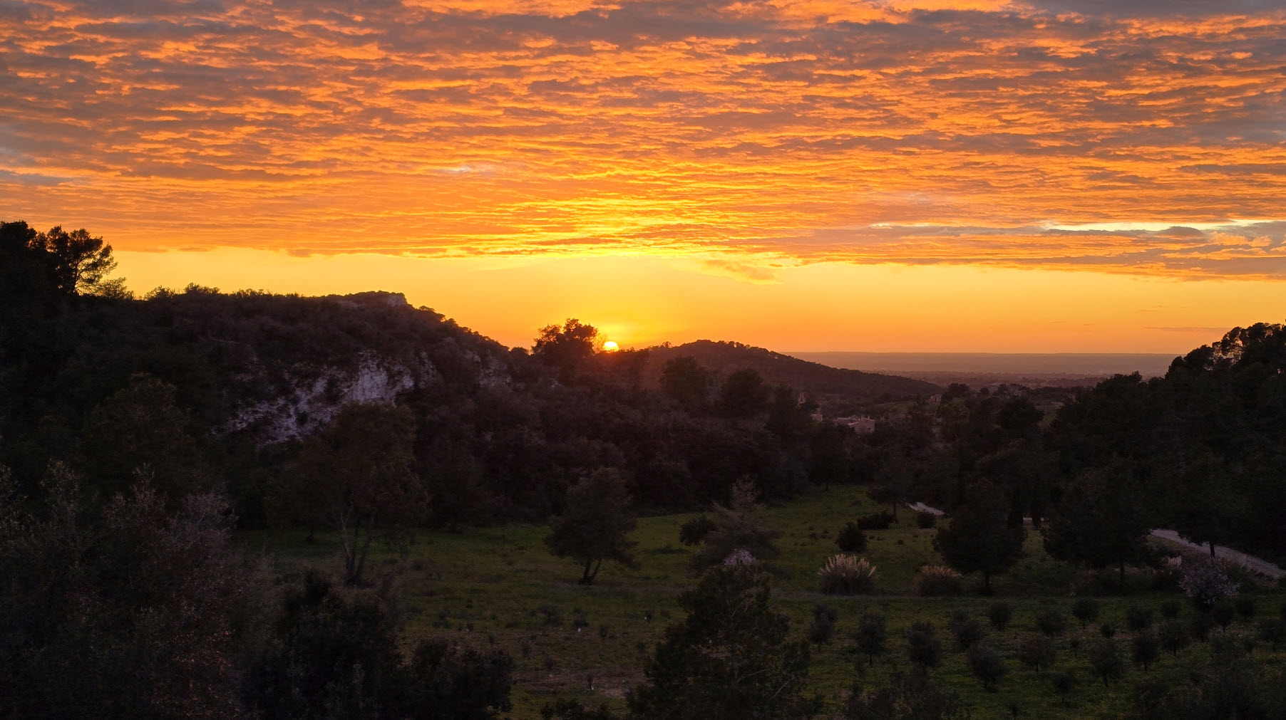 Warmer Sonnenuntergang über einer wilden Landschaft